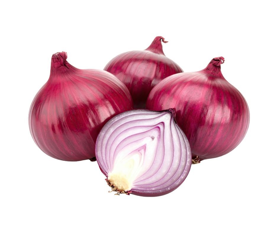 onion onion